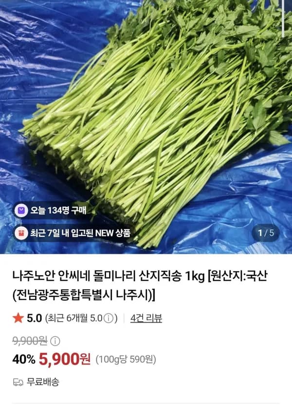 돌 미나리 1kg 5,900원