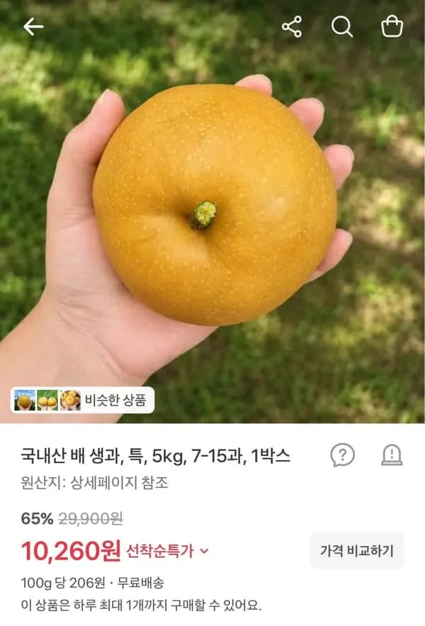 국내산 배 생과 특 5kg 10,260원