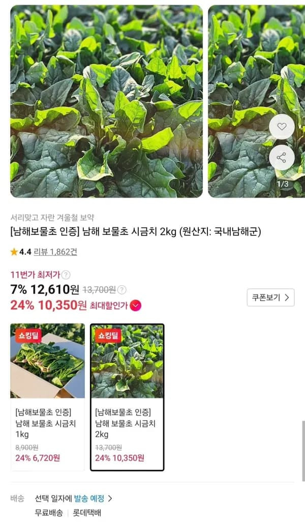 남해 보물초 시금치 2kg 10,350원