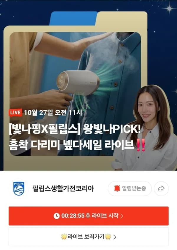 필립스 흡착 스팀다리미