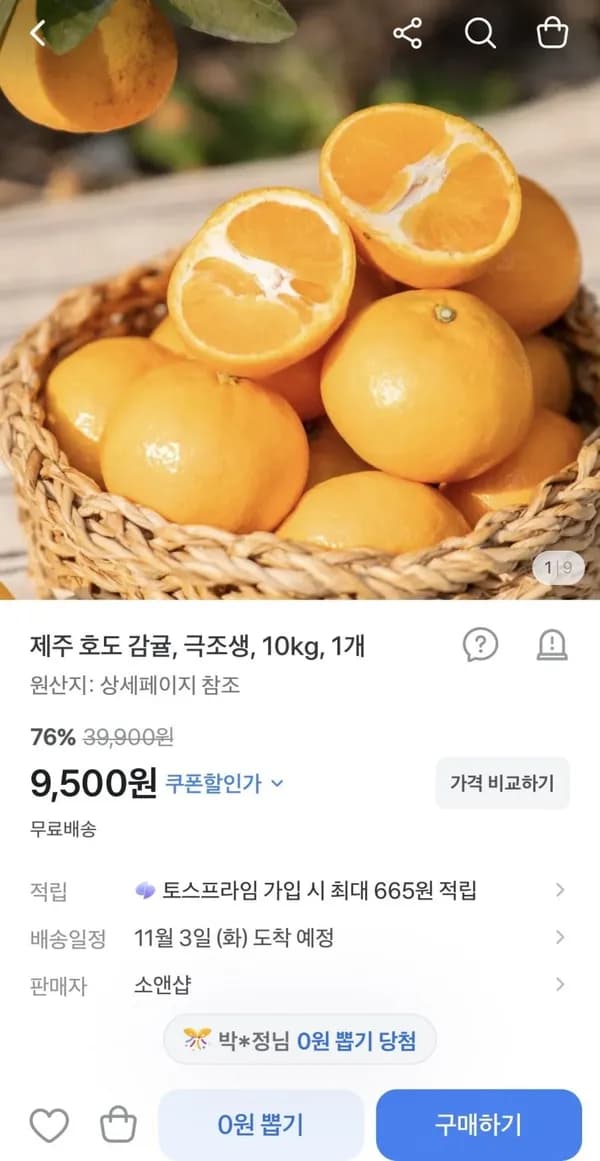 극조생감귤 중대과 10KG 9,500원