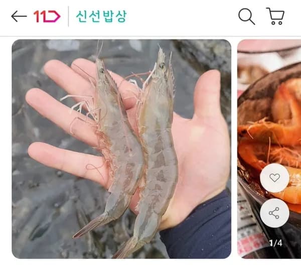 26년 흰다리 새우 1kg 28미 내외 16,710원