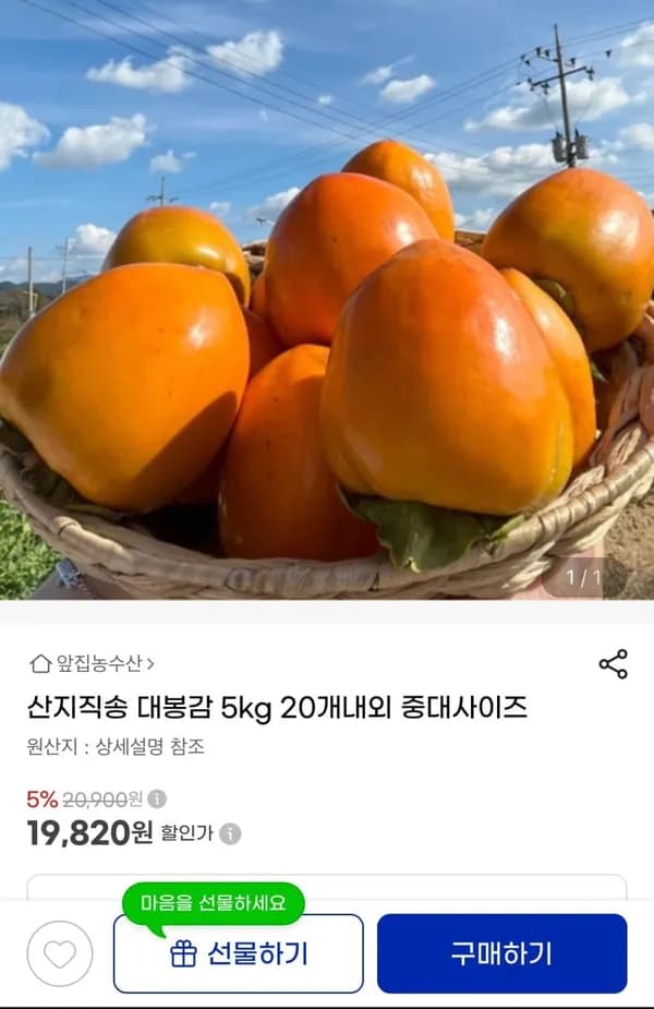 산지직송 대봉감 5kg 20개내외 중대사이즈 19,820원
