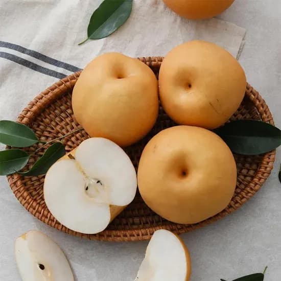 25년수확 햇배 나주배 가정용 5kg 14797원