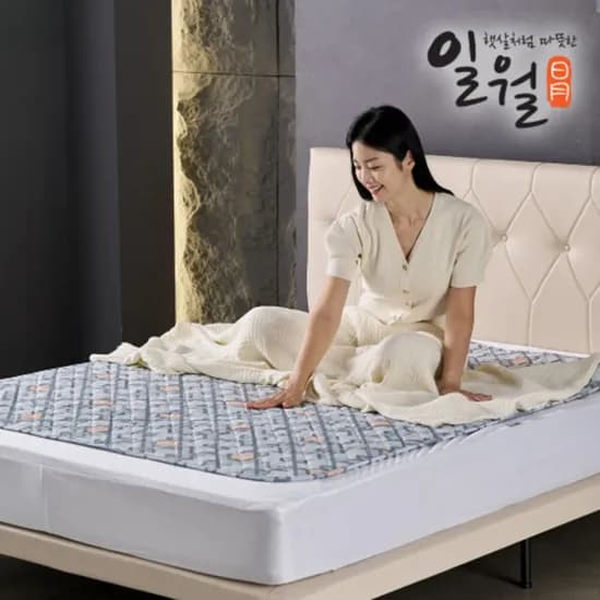 파밀리아 초절전형 워셔블 카본매트