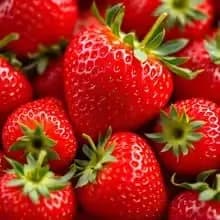 설향 딸기 500g 1팩 9,432원, 2팩 15,192원 제주감귤 로얄과 9kg 20,227원