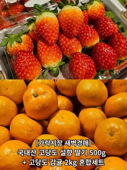 설향 딸기 500g 감귤 2kg