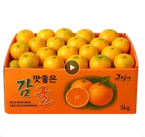 제주 노지 귤 5kg 로얄과 5kg