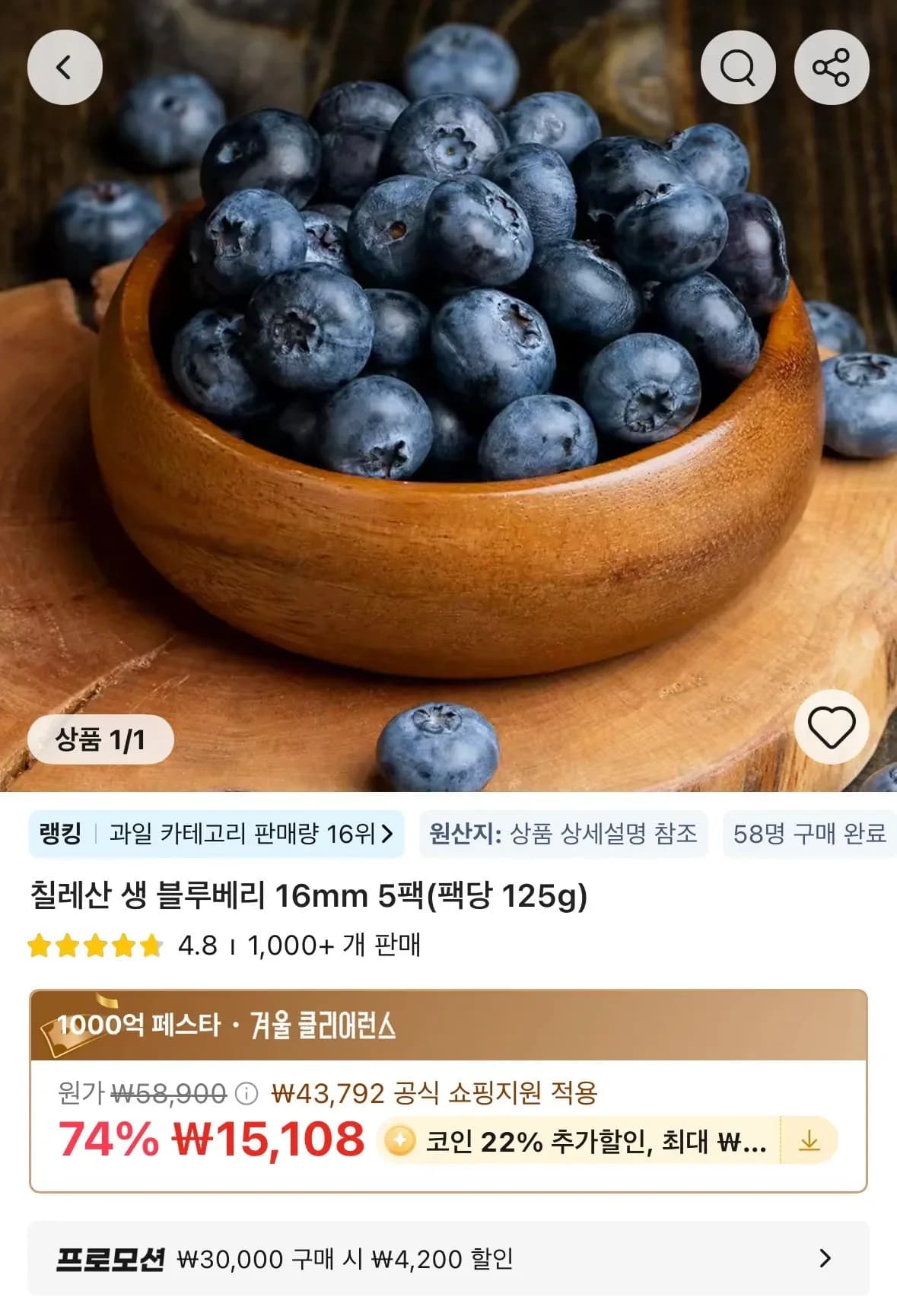 칠레산 생 블루베리 16mm 5팩 팩당 125g