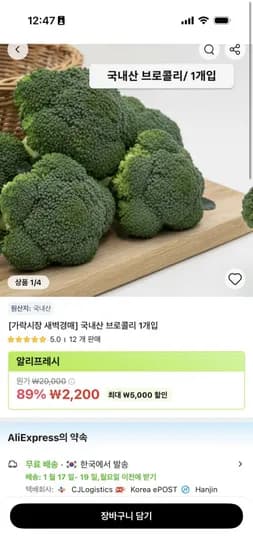 브로콜리 1개입 외 채소 5종