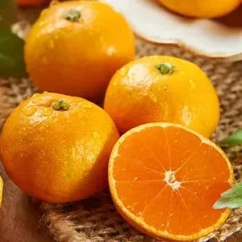 감귤 로얄과 4.5kg 10757원 Dole 파인애플 대과 5개 13698원 바나나 2