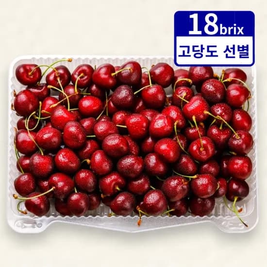 칠레 생 체리 0.5ROW 1