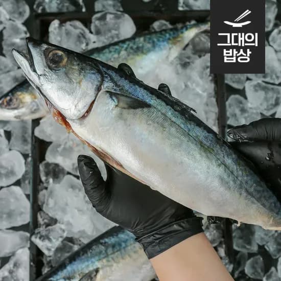 국내산 서해안갈치 500g