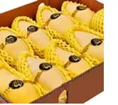 항공직송 태국망고 대과 2.5kg(2.3만),항공직송 태국망고 점보과 2.5kg(2.4만)/무배