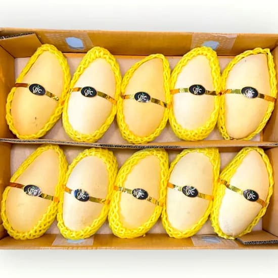 태국 골드망고 1kg