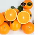 오렌지 블랙라벨 13brix이상 당도선별  10과 1.5kg(6,314원)/무배