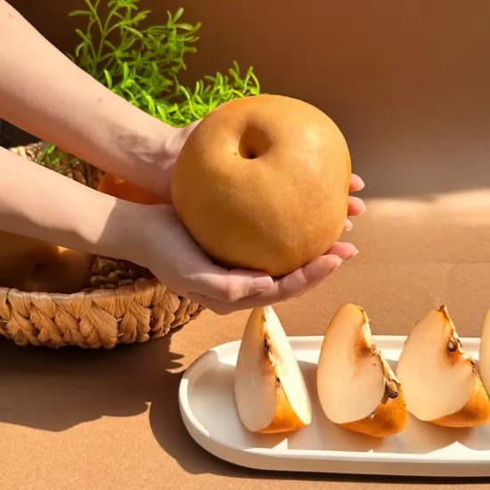 국내산 문평 가정용 나주배 3kg(6,663원) /무배