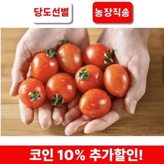 산지직송 대추방울토마토 3kg (15,908원/무료)