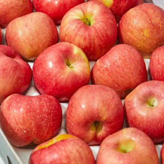 타임딜 가정용 고당고 꿀사과(9,260원/무료)