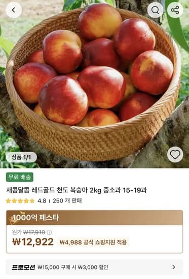 새콤달콤 천도 복숭아 kg2