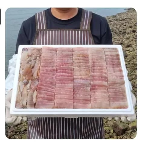 국내산 홍어 목포 삭힌 흑산도 홍어 250/500g