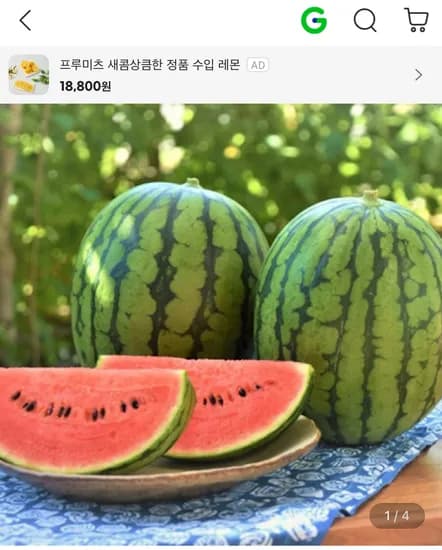 고당도 하우스 수박 6-7kg 내외 (12,920원/무료)