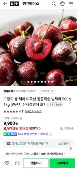 항공직송 워싱턴 생 체리 500g