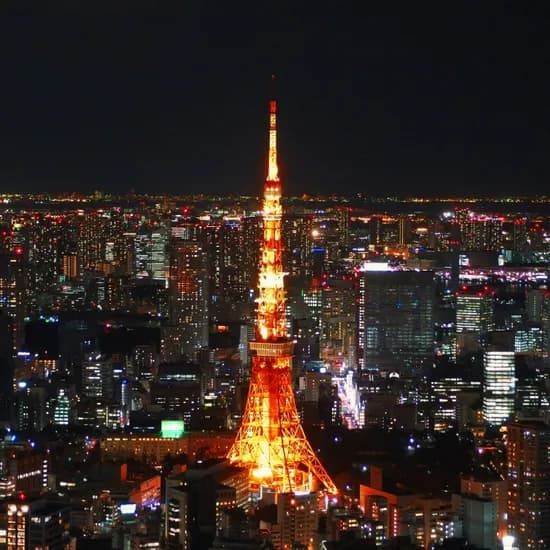 도쿄vs오사카 에어텔+교토투어 (159,200원~/무료)