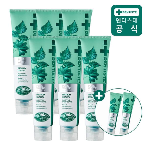 덴티스테 뉴플러스 화이트 치약 160g 6개 20g 2개