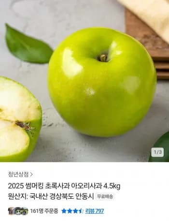 초록사과 아오리사과 4.5kg