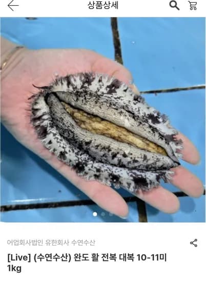 남도장터 전복 10~11미 1kg