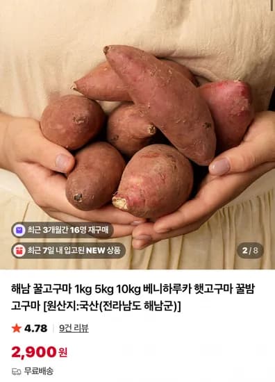 해남 베니하루카 꿀 밤고구마 1kg