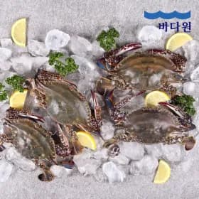 신진도 가을 활꽃게 3kg 빙장포장