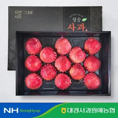 청송사과 선물세트 4.2kg 13과 대과