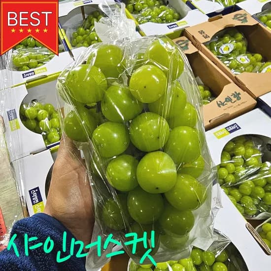 샤인머스켓 4kg 4-5수