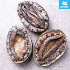 완도 활전복 1kg