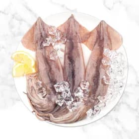 손질 왕 오징어 1kg