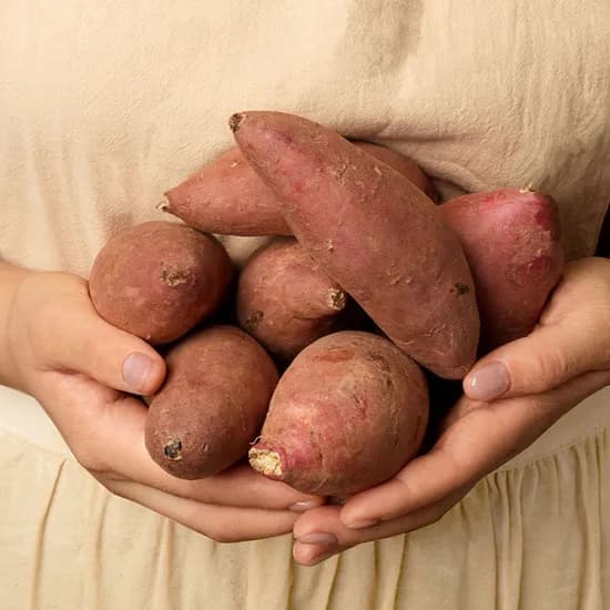 해남 꿀고구마 특대 3kg