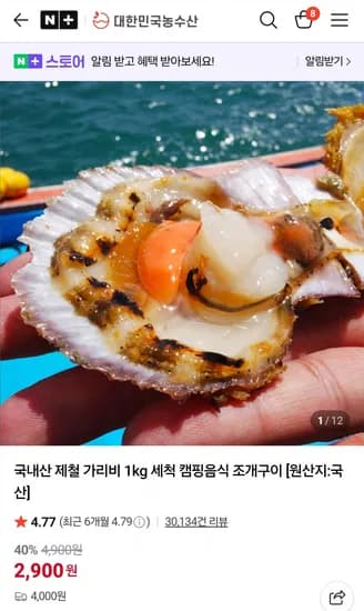 가리비 1kg