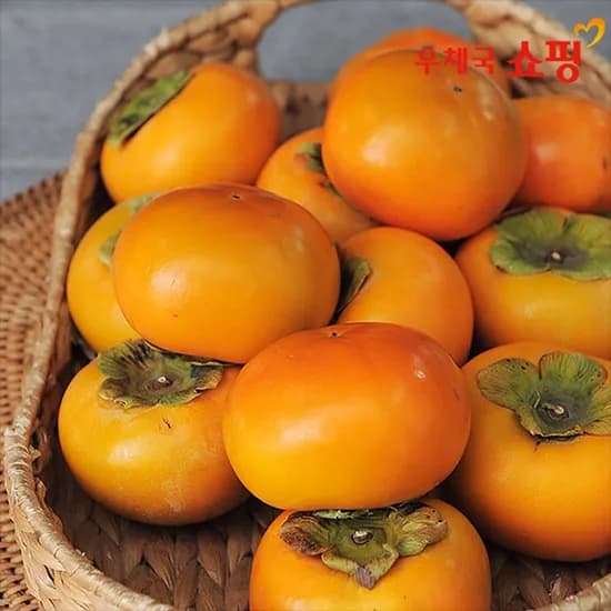 단감 5kg
