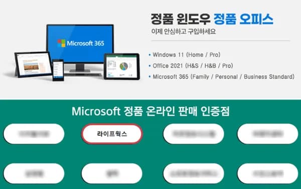 MS 윈도우 11 Home FPP
