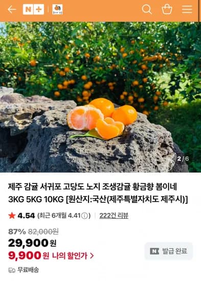 제주 감귤 서귀포 고당도 조생감귤 10kg 중대과