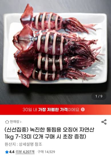 녹진한 통찜용 오징어 1kg