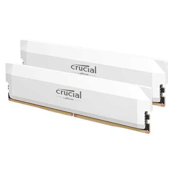 크루셜 프로 DDR5 RAM 32GB 키트 (2x16GB) CL36 6000MHz 화이트