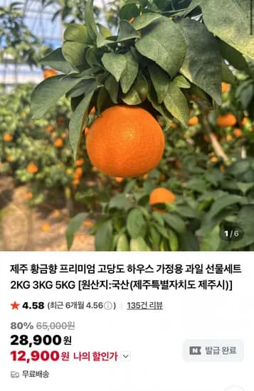 제주 황금향 꼬마과 3kg