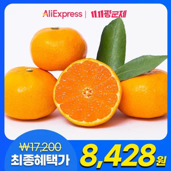 제주 서귀포 노지감귤 4.5kg