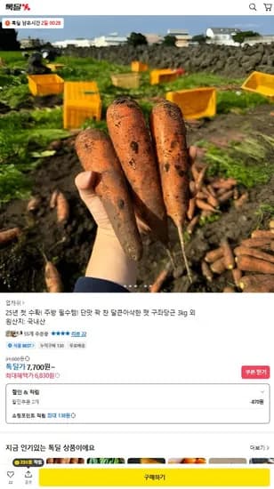 제주 햇 구좌당근 3kg