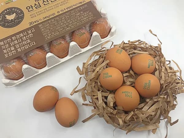 보드레 HACCP 인증 신선 계란 20구