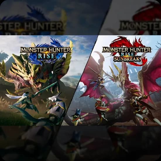 몬스터 헌터 라이즈 선브레이크