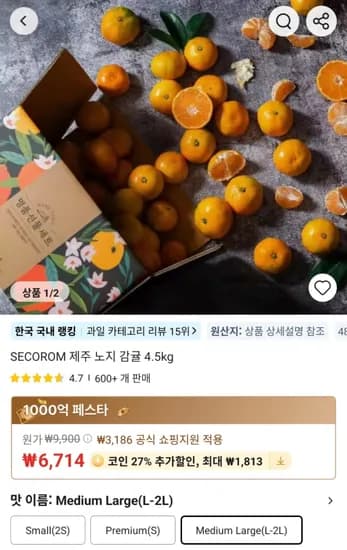 제주 노지 감귤 4.5kg